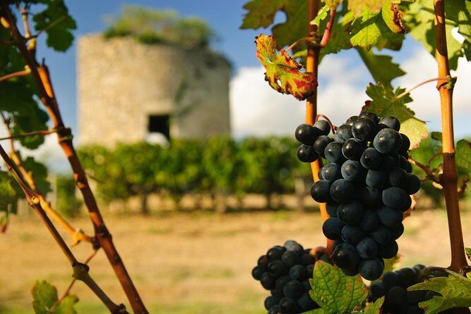 Margaux & Médoc: half day private tour in a classic car - How the timing plays out in roughly 6 hours