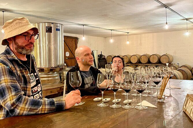 Margaux & Médoc: half day private tour in a classic car - Château Lamothe-Bergeron: three vintages and why seasons matter