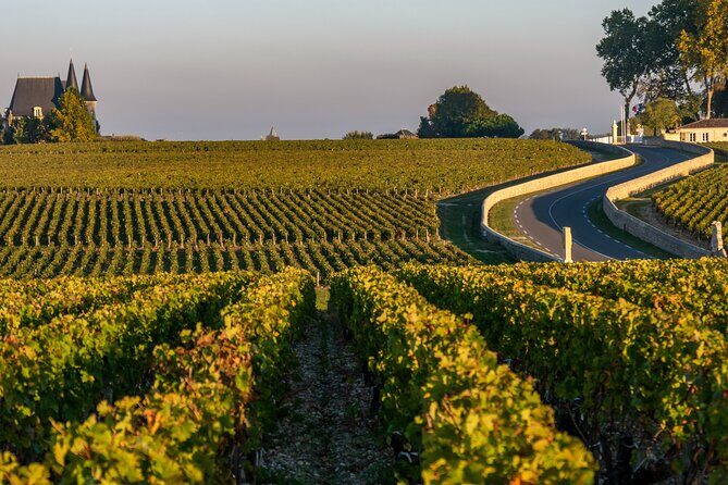 Margaux & Médoc: half day private tour in a classic car - Passing Margaux, Saint-Julien, Pauillac, and Saint-Estèphe