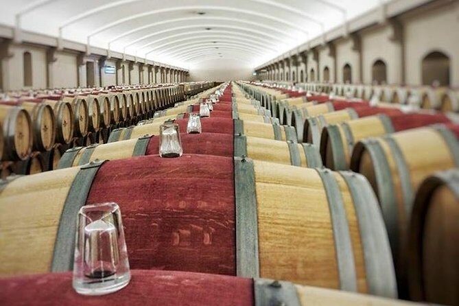 Medoc Region Private Sightseeing & Wine Day Trip with Tasting from Bordeaux - Key things you’ll notice on this Médoc day trip